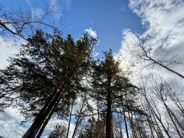 Land and Sky